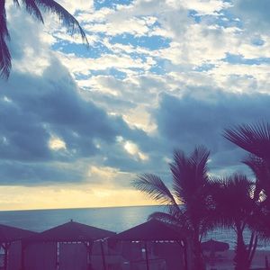 Meet your Posher, Austyn